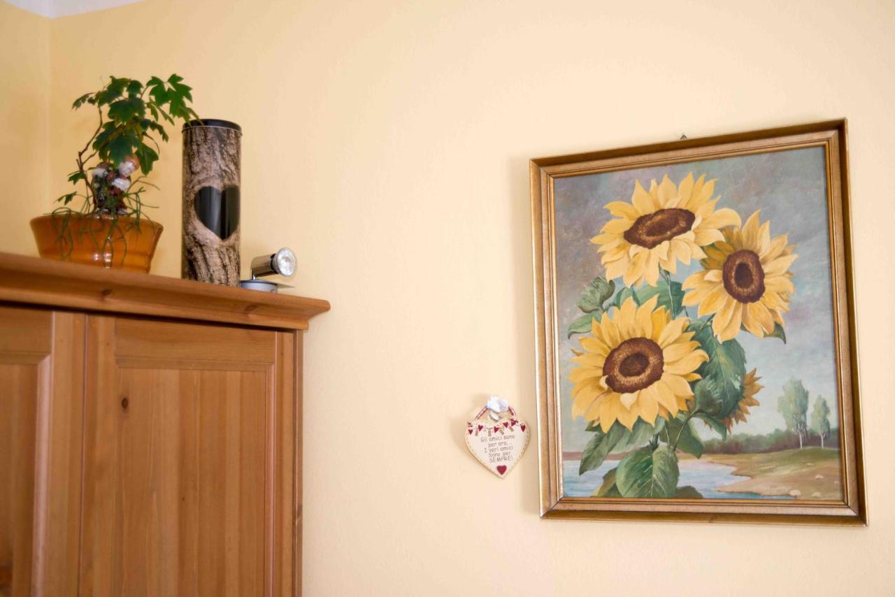 Ferienwohnung Kim Schladming Dış mekan fotoğraf